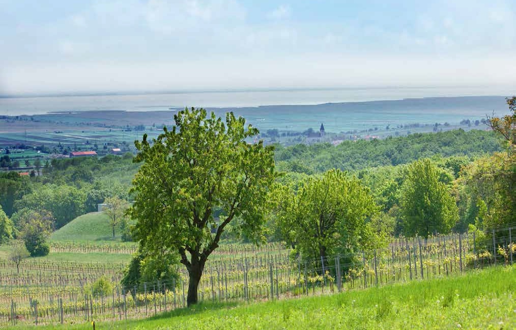 Hainrich leithagebirge